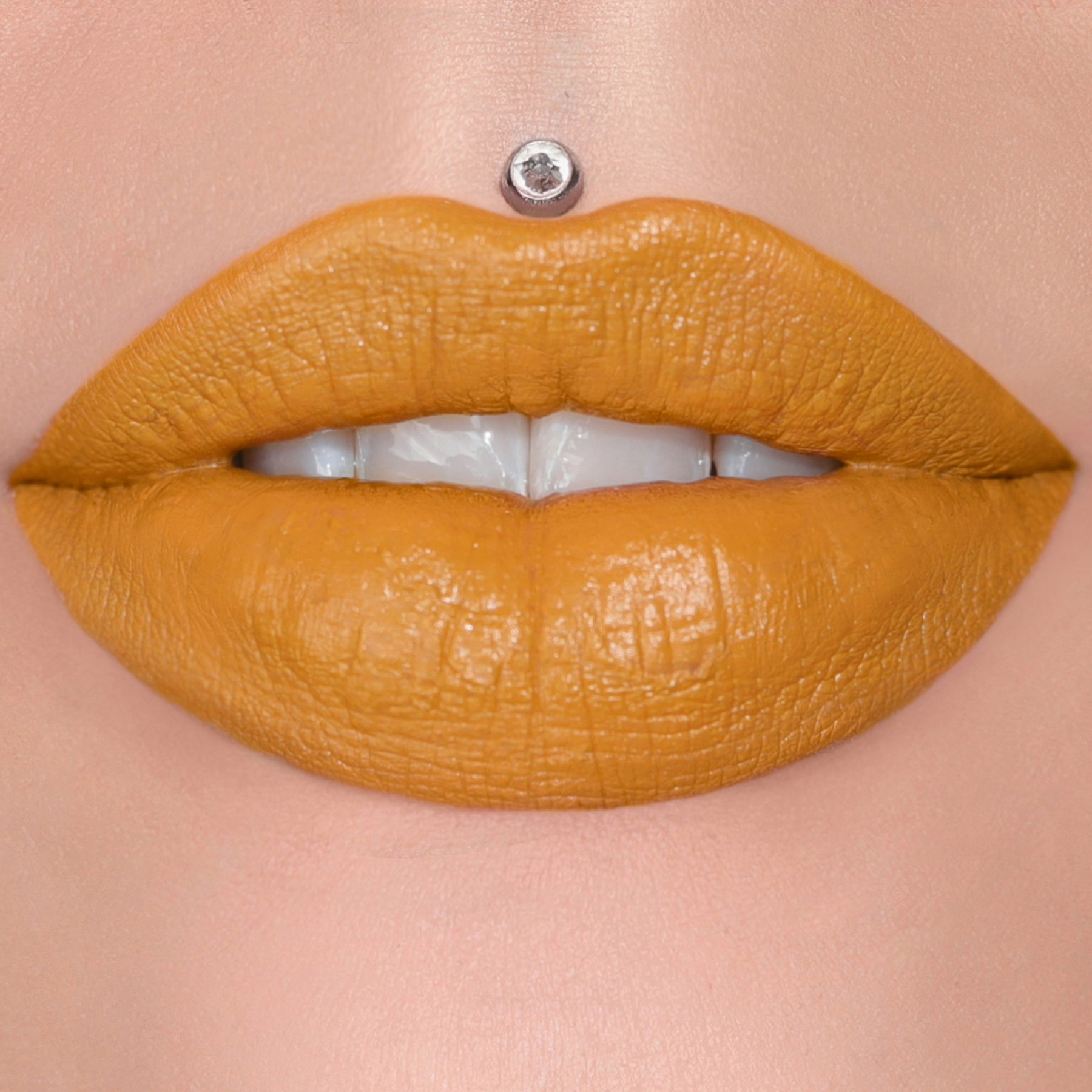 Extending The Olive Branch